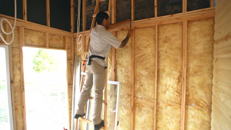 Best Insulation for New Construction  in Crofton, MD